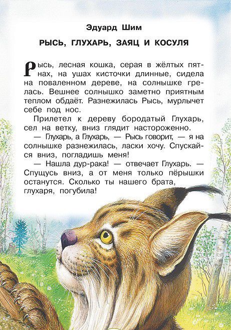 Кратко рассказы шима Кратко рассказы шима