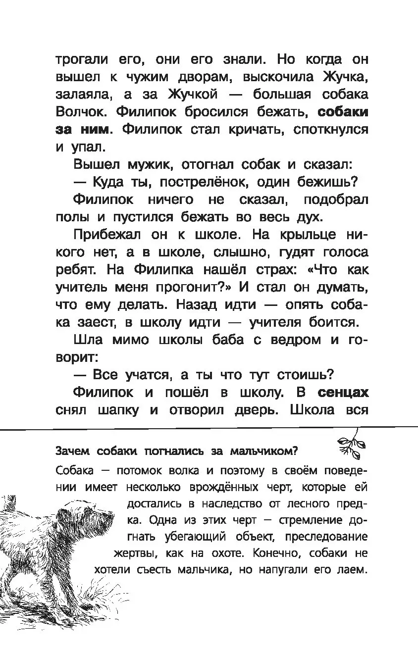 Мильтон и булька толстой читать. Л.Н.толстой Мильтон и Булька. Лев Николаевич толстой рассказ Булька. Рассказ Булька толстой. Собака Булька Толстого.