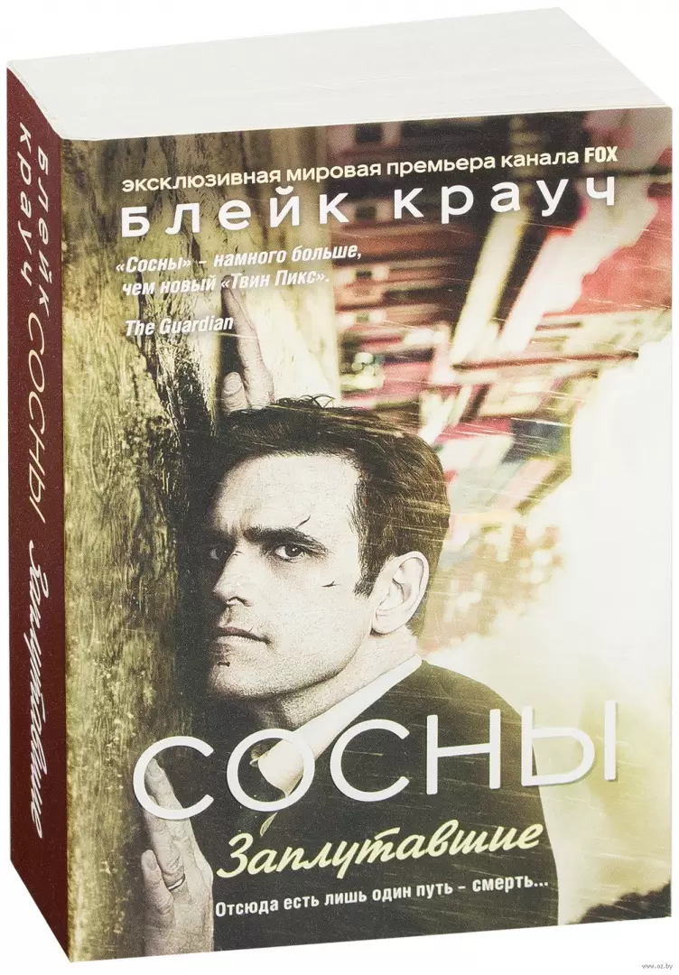 Книга Сосны. Заплутавшие (м) купить по выгодной цене в Минске, доставка  почтой по Беларуси