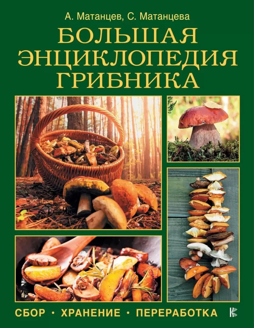 Книга Большая энциклопедия грибника: сбор, хранение, переработка купить по  выгодной цене в Минске, доставка почтой по Беларуси