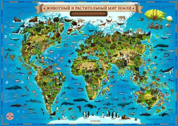 Карты мира для детей от 3 лет — купить в интернет-магазине OZON по выгодной цене