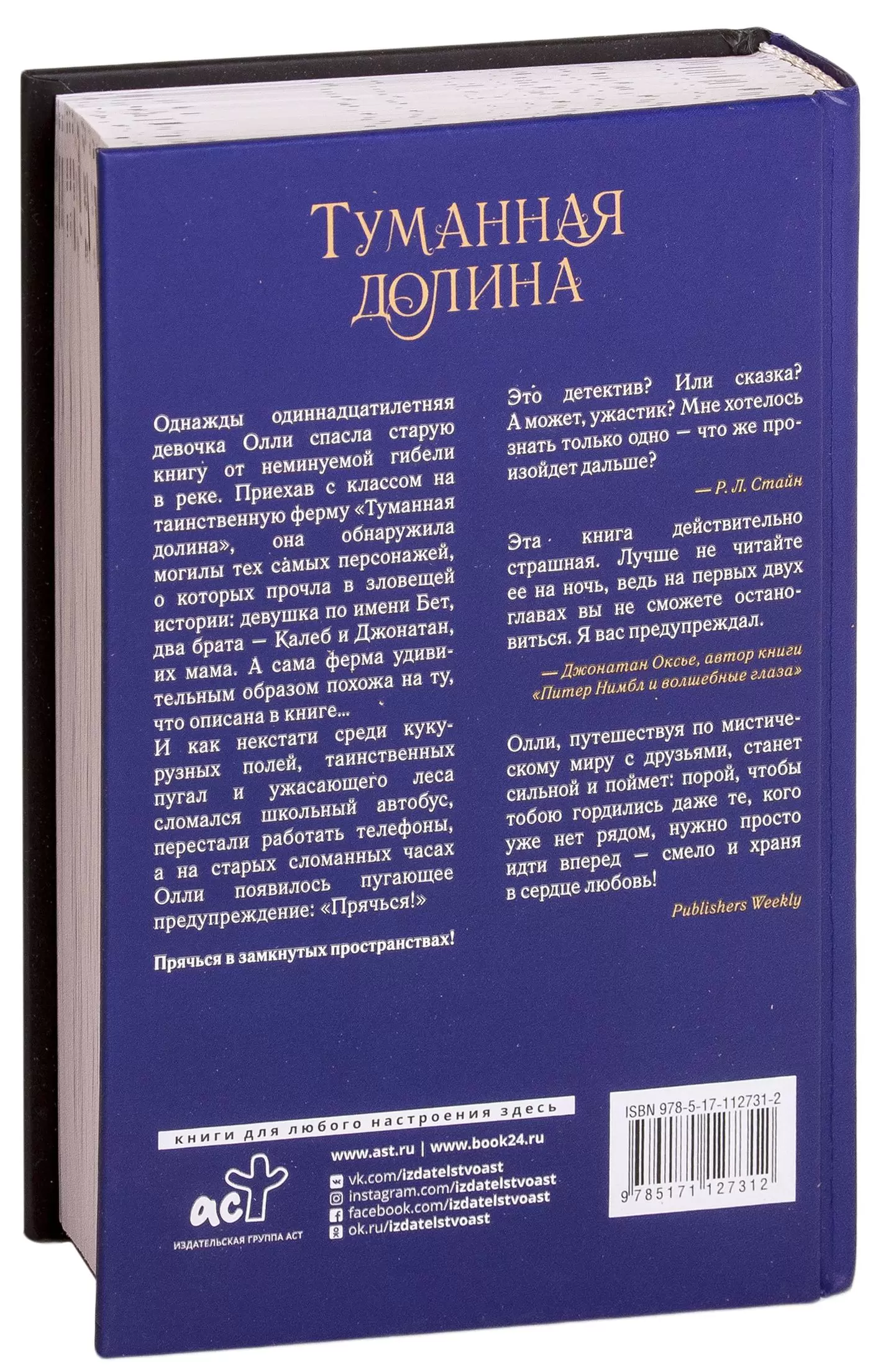 Книга Туманная долина купить по выгодной цене в Минске, доставка почтой по  Беларуси