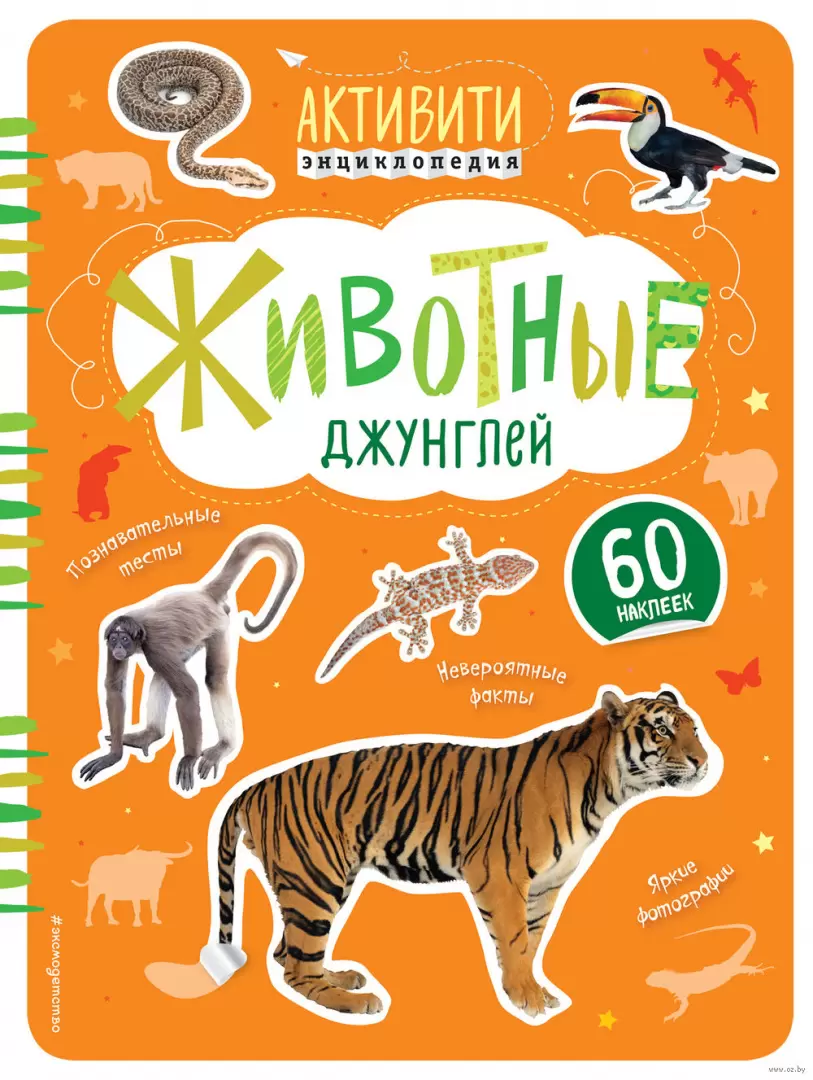 Книга Животные джунглей купить по выгодной цене в Минске, доставка почтой  по Беларуси