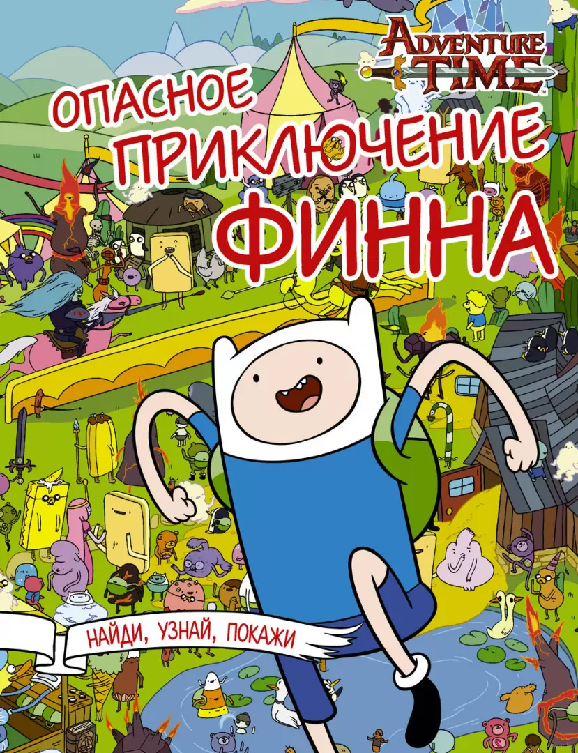 Книга Опасное приключение Финна купить по выгодной цене в Минске, доставка  почтой по Беларуси