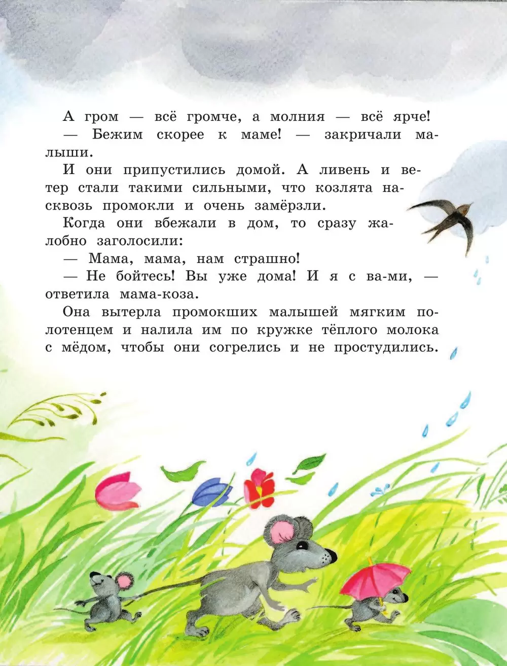 Книга Дорога домой купить по выгодной цене в Минске, доставка почтой по  Беларуси