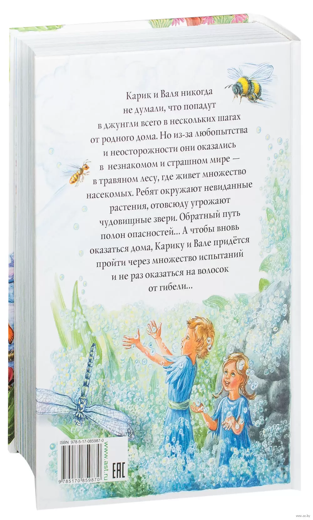 Книга Необыкновенные приключения Карика и Вали купить по выгодной цене в  Минске, доставка почтой по Беларуси