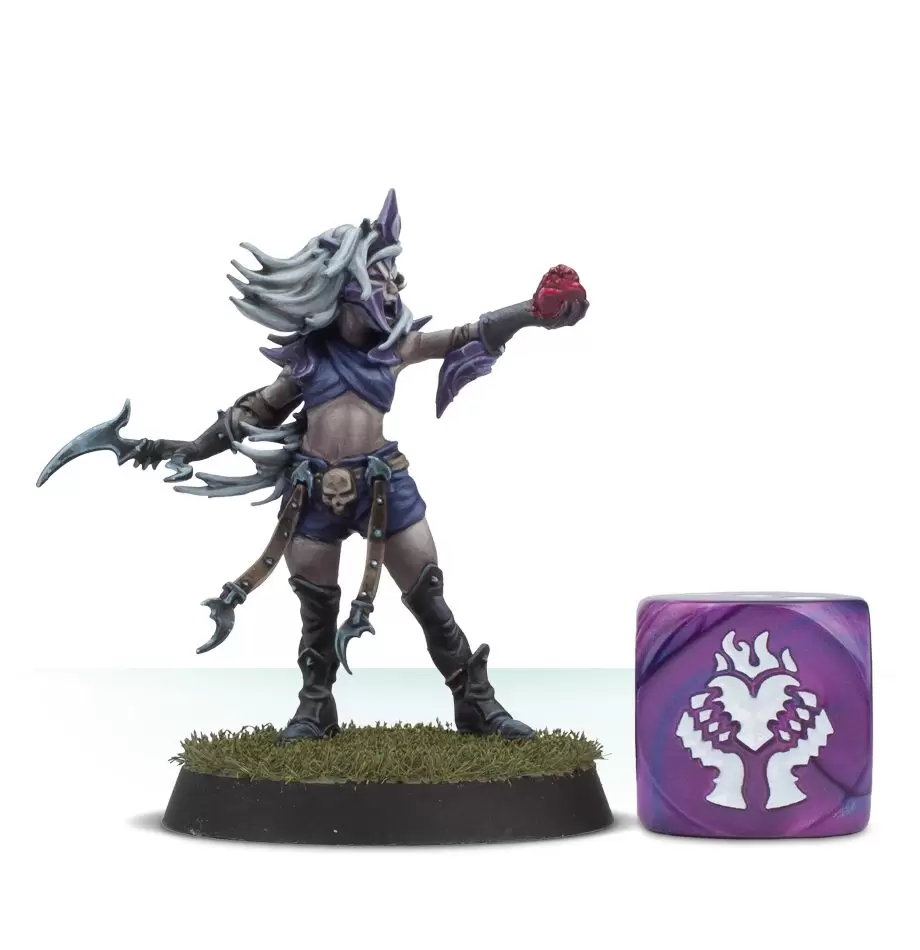 Warhammer Blood Bowl Набор кубиков Тёмных Эльфов / Dark Elf Dice Set (арт.  200-37), цена | Минск > igromaster.by