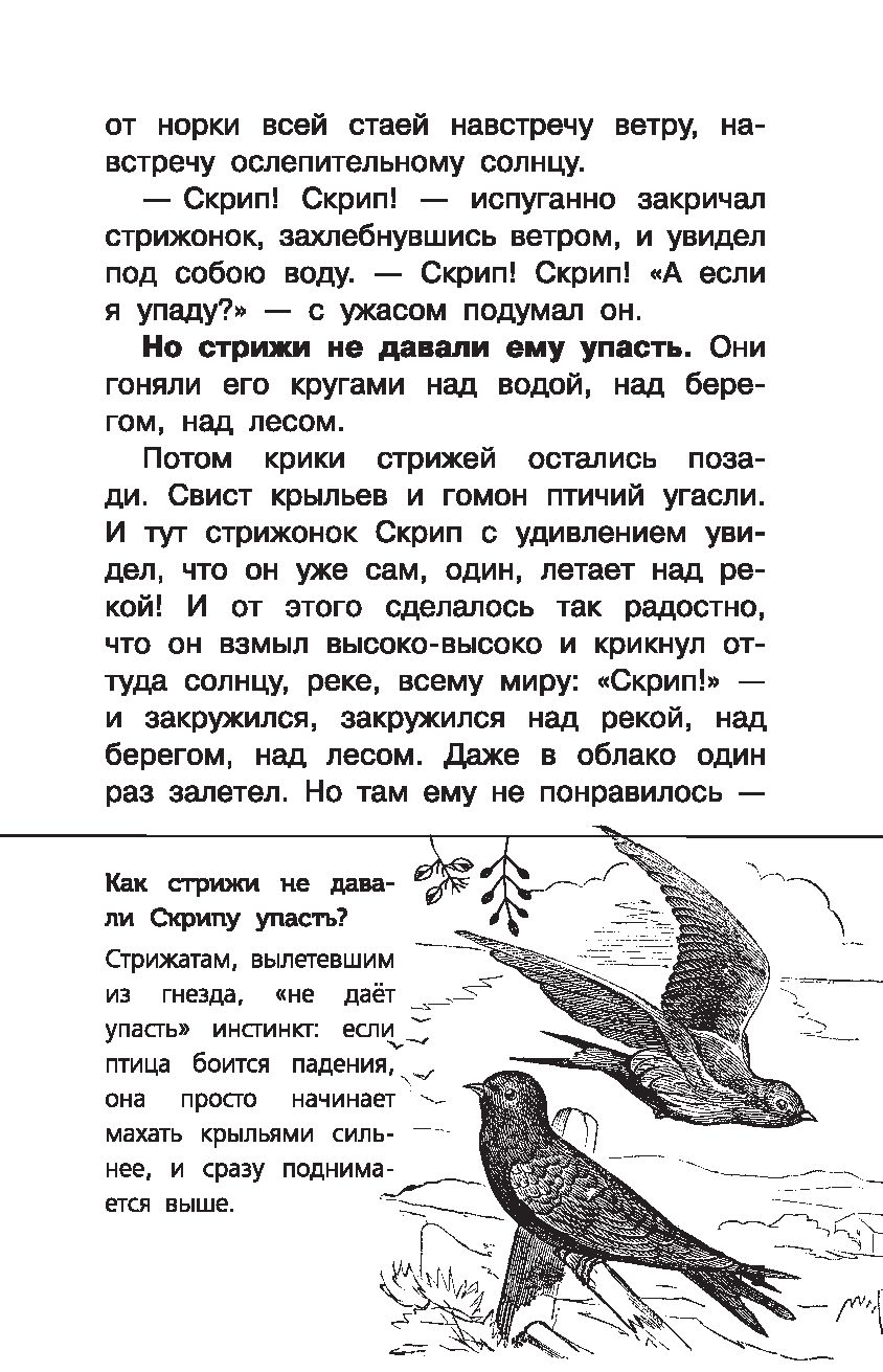 Книга Васюткино озеро купить по выгодной цене в Минске, доставка почтой по  Беларуси