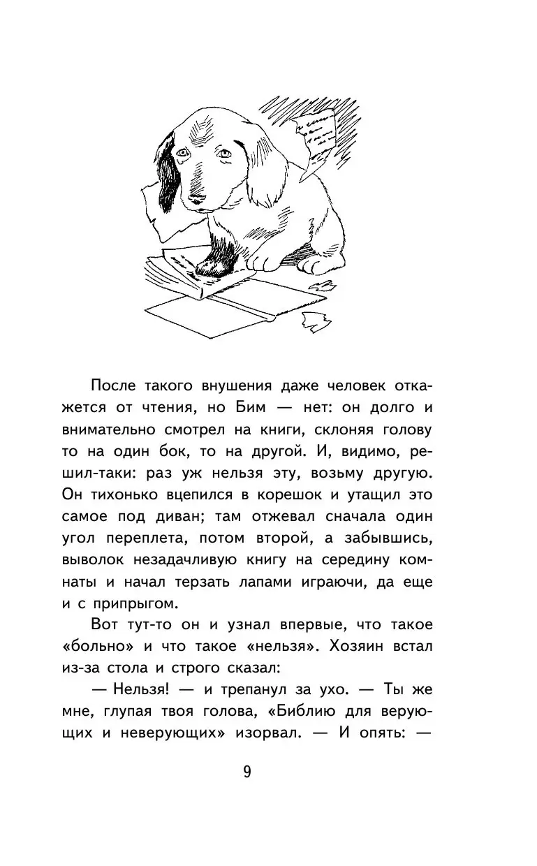 Книга Белый Бим Черное Ухо купить по выгодной цене в Минске, доставка  почтой по Беларуси