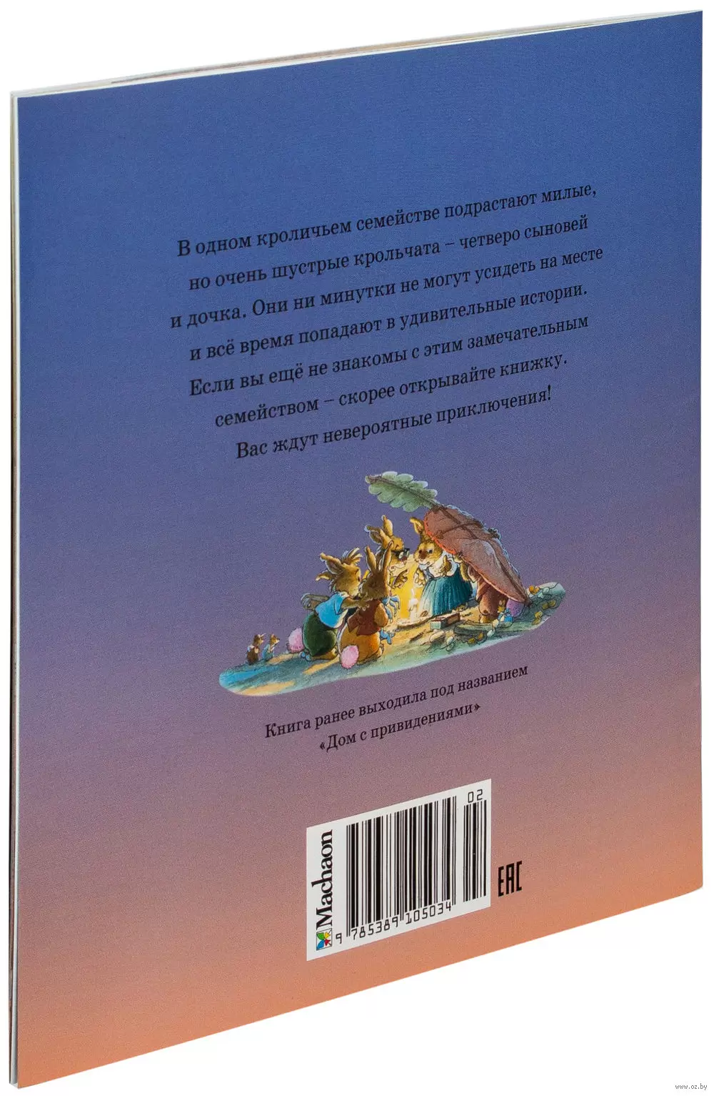 Книга Заколдованный дом купить по выгодной цене в Минске, доставка почтой  по Беларуси