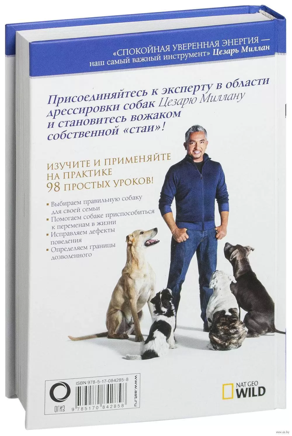 Книга Счастливая собака. 98 простых советов и рекомендаций купить по  выгодной цене в Минске, доставка почтой по Беларуси