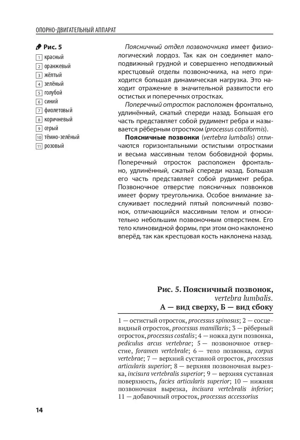 Укоренение черенков винограда в домашних условиях