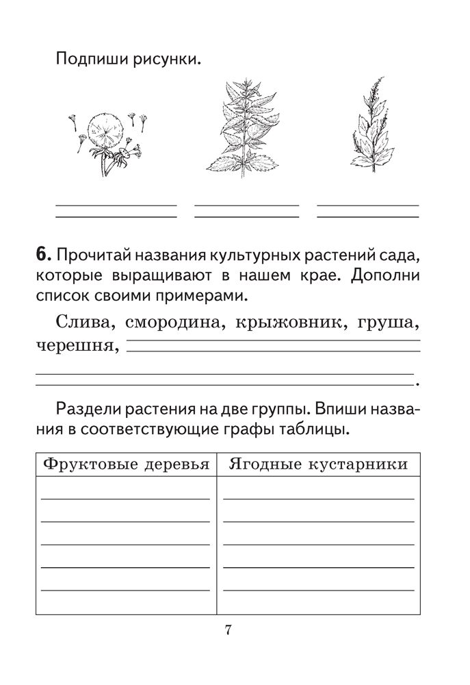 Решебник по рабочей тетради 5 класса я.н.яцкевич Решебник по рабочей тетради 5 класса я.н.яцкевич