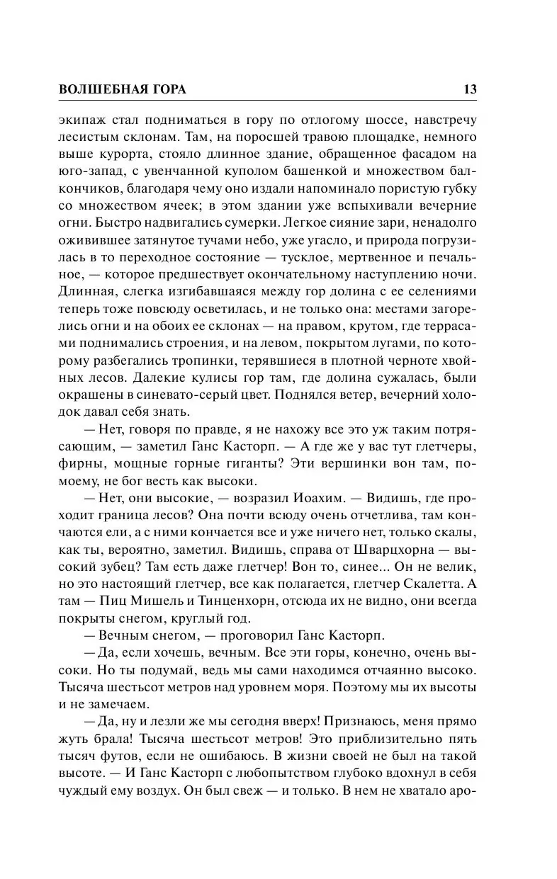 Книга Волшебная гора, Зарубежная классика купить в Минске, доставка по  Беларуси