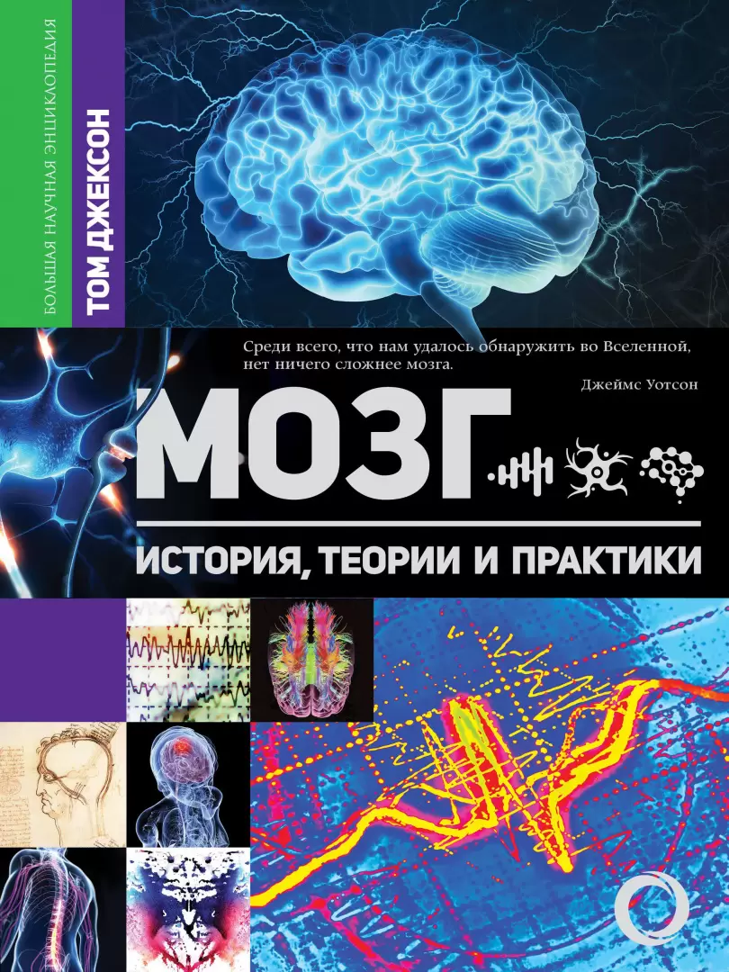 Книга Мозг. История, теории и практики купить по выгодной цене в Минске,  доставка почтой по Беларуси