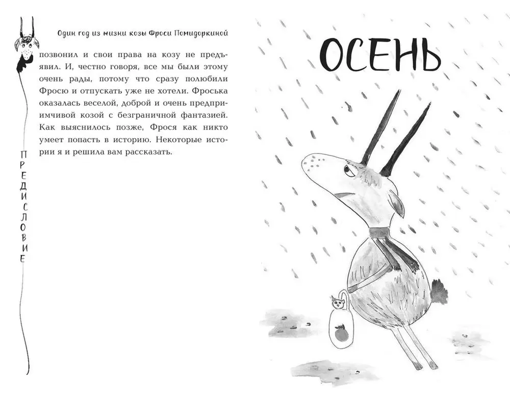 Книга Один год из жизни козы Фроси Помидоркиной купить по выгодной цене в  Минске, доставка почтой по Беларуси