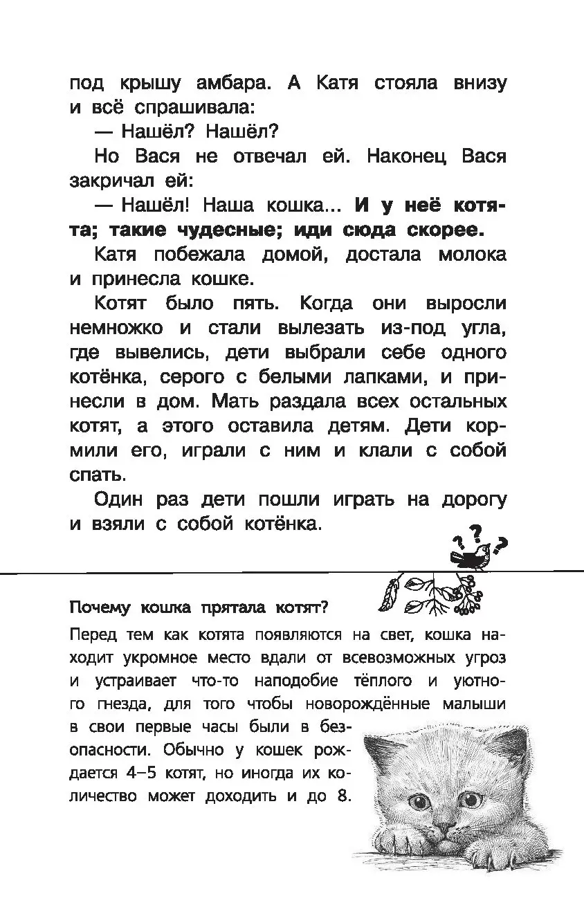 Книга Мильтон и Булька купить по выгодной цене в Минске, доставка почтой по  Беларуси