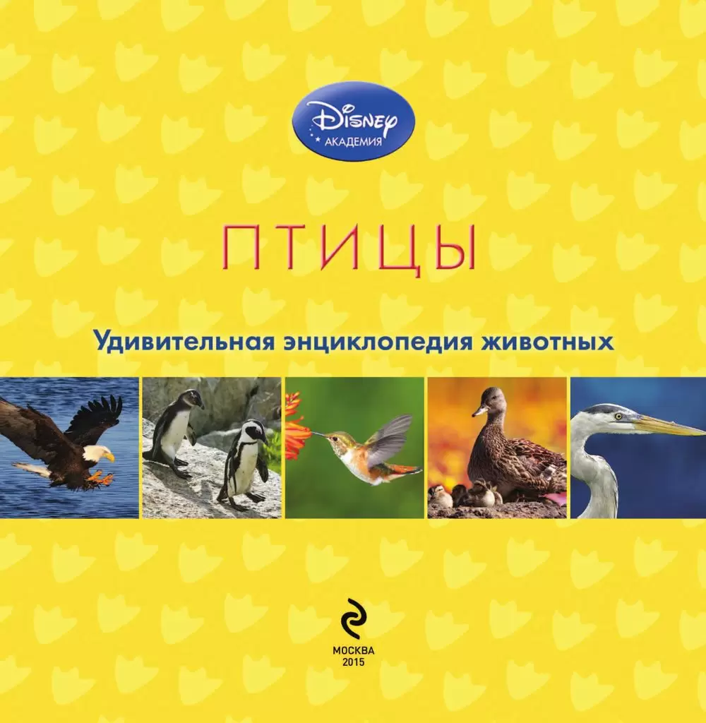 Disney. Удивительная энциклопедия Птицы купить в Минске, доставка по  Беларуси