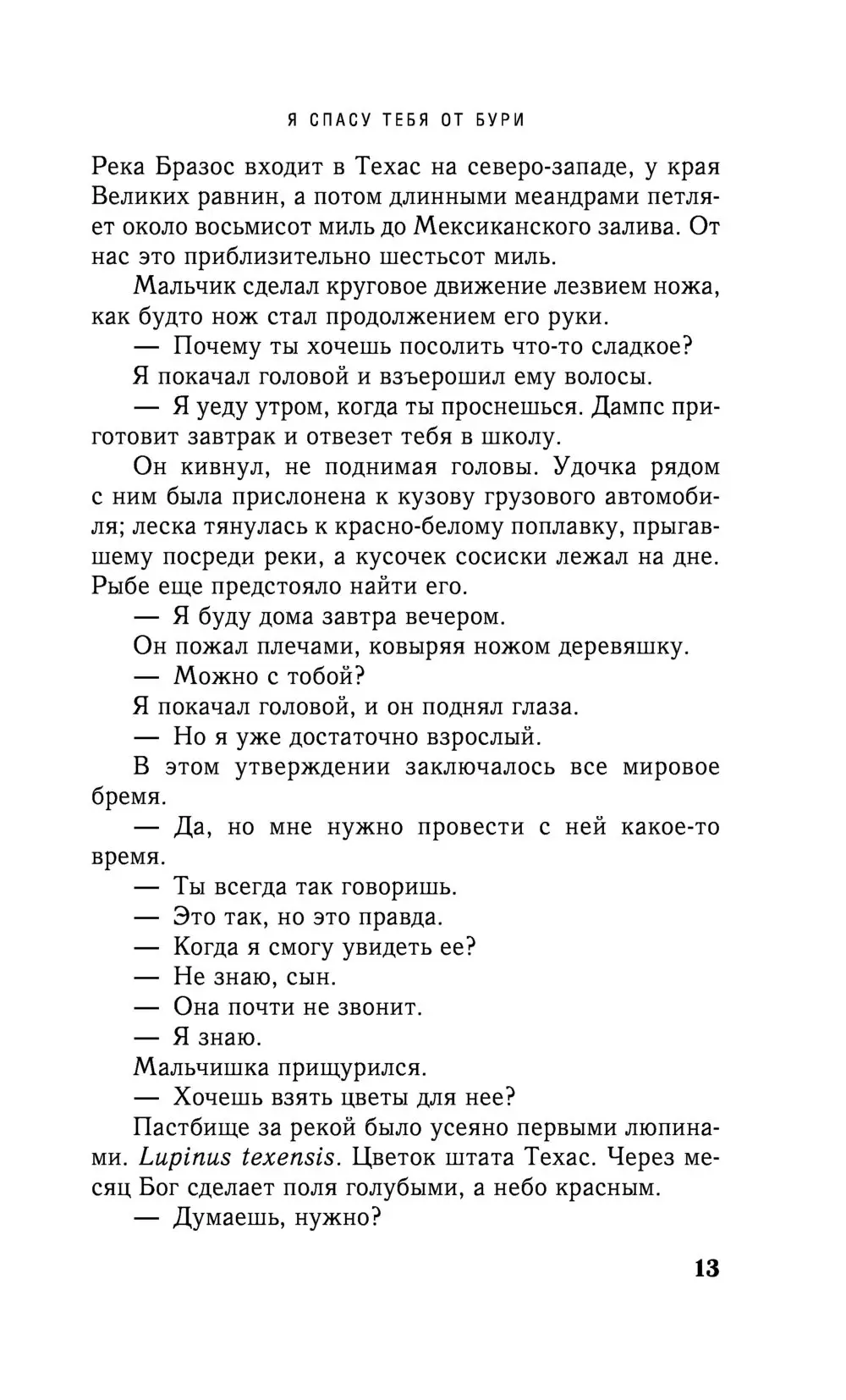 Книга Я спасу тебя от бури купить по выгодной цене в Минске, доставка  почтой по Беларуси