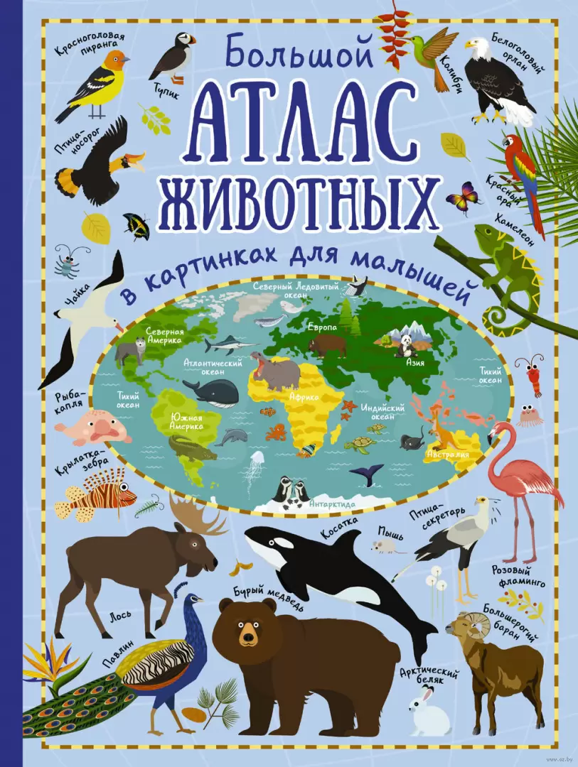 Книга Большой атлас животных в картинках для малышей купить по выгодной  цене в Минске, доставка почтой по Беларуси