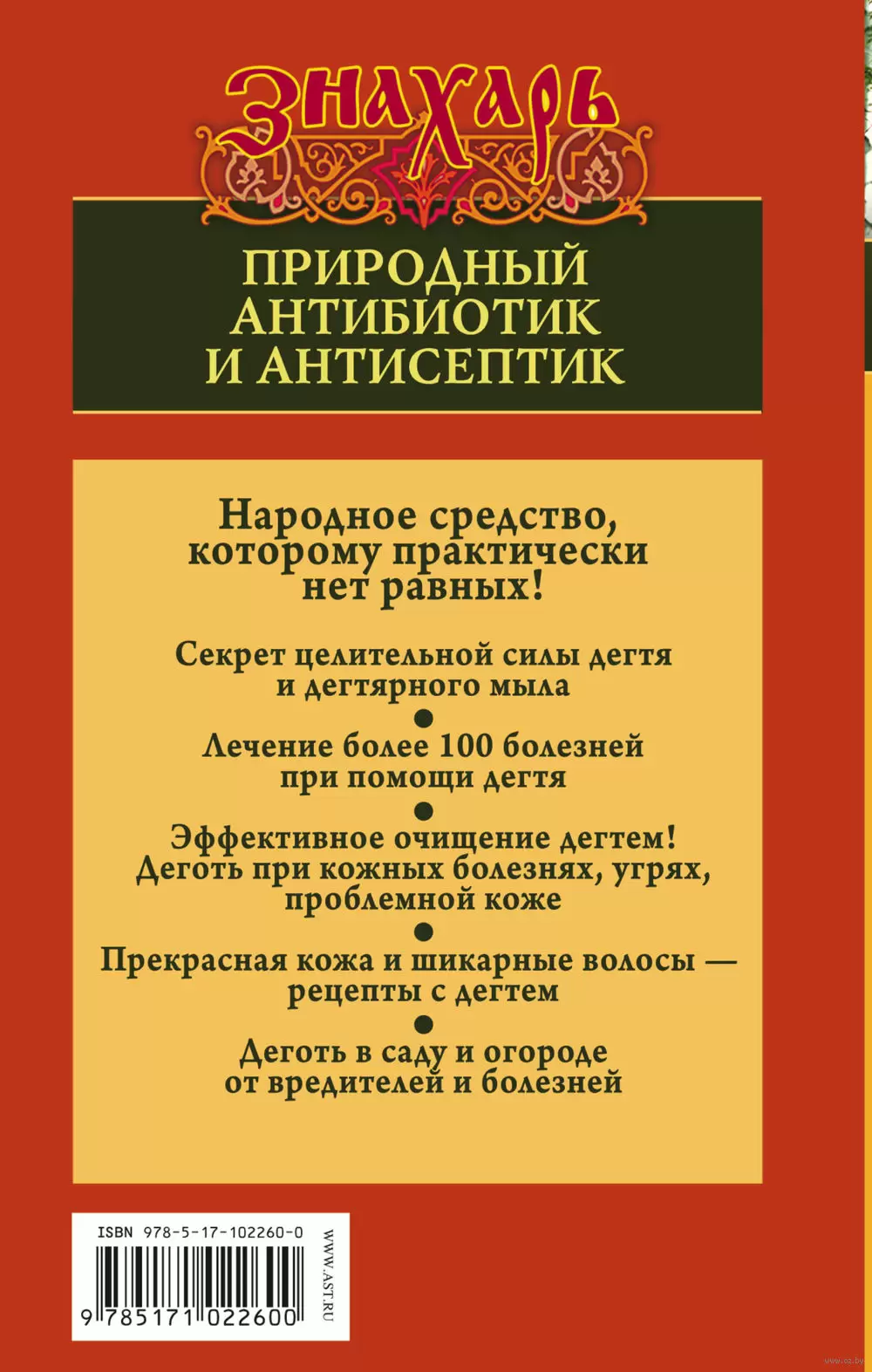 Книга Дегтярное мыло и деготь - настоящее средство от 100 болезней купить  по выгодной цене в Минске, доставка почтой по Беларуси