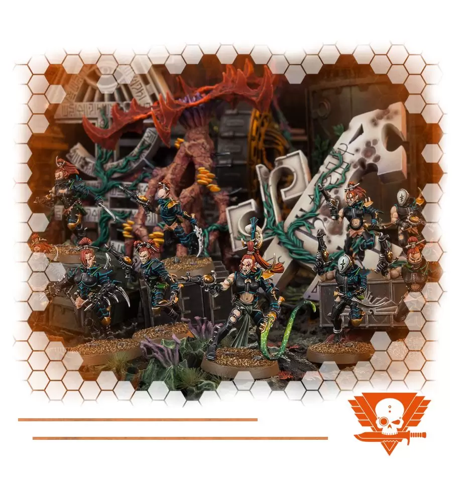 Warhammer: Kill Team: Режущая Удавка - Стартовый набор Друккари / The  Slicing Noose – Drukhari Starter Set (арт. 102-25-60), цена | Минск >  igromaster.by