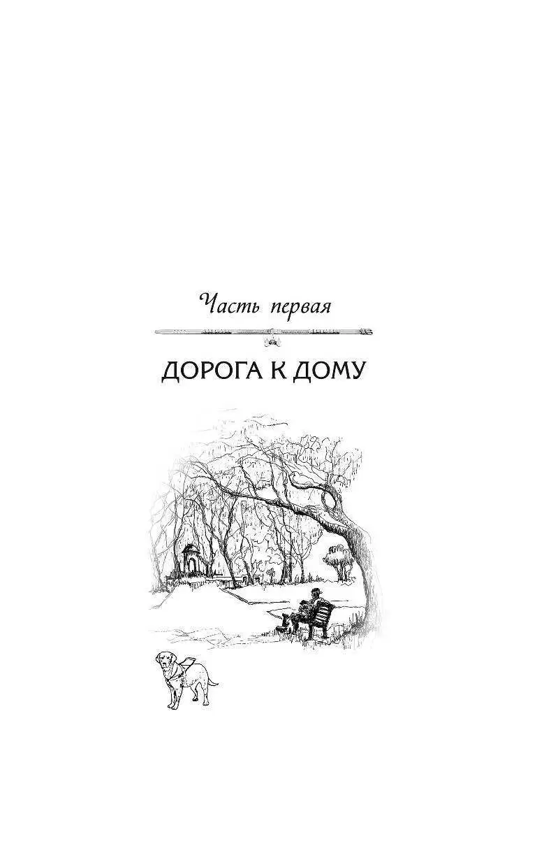 Книга Радуга для друга купить по выгодной цене в Минске, доставка почтой по  Беларуси