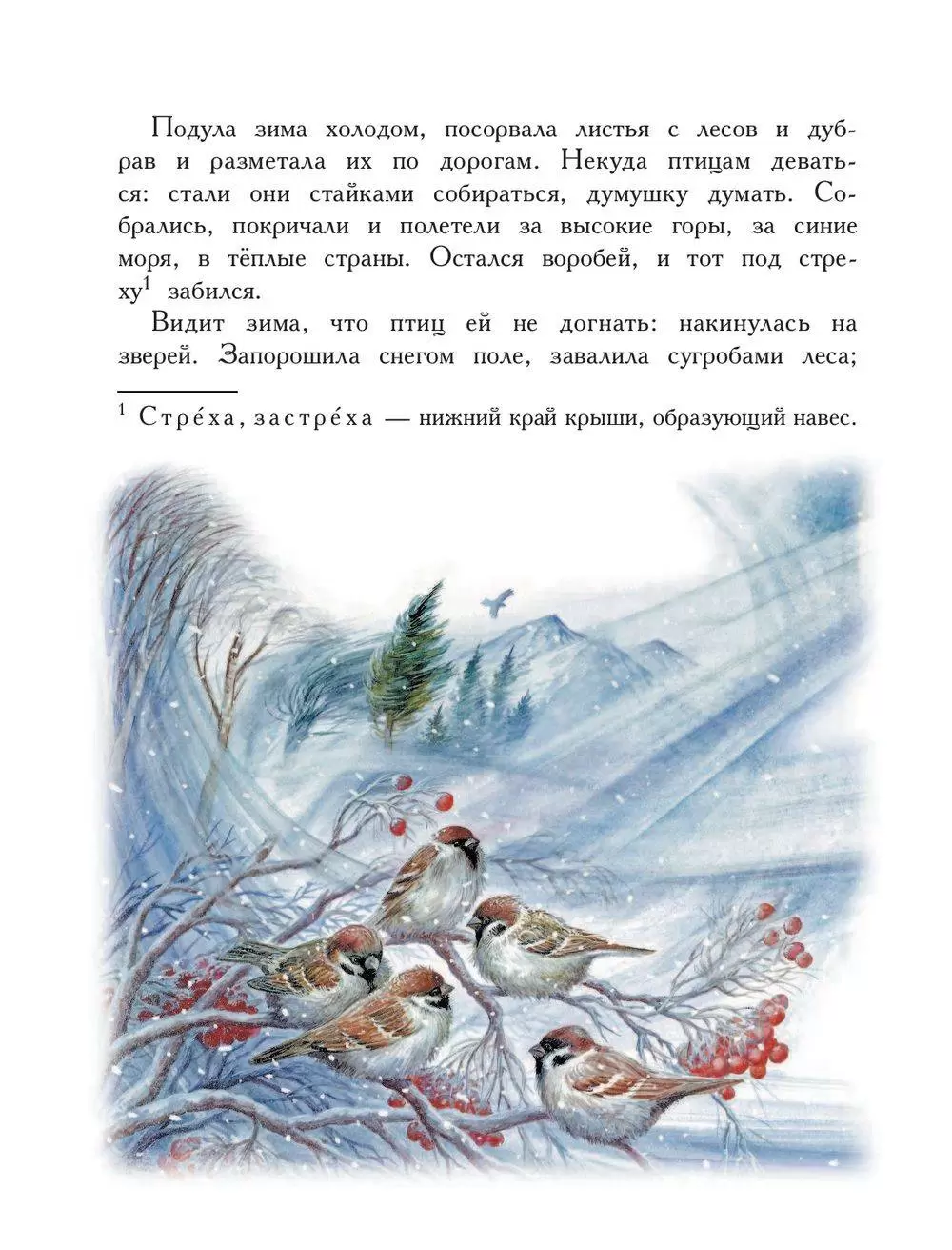 Книга Сказки любимых писателей купить по выгодной цене в Минске, доставка  почтой по Беларуси