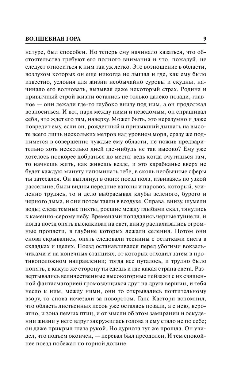 Книга Волшебная гора, Зарубежная классика купить в Минске, доставка по  Беларуси