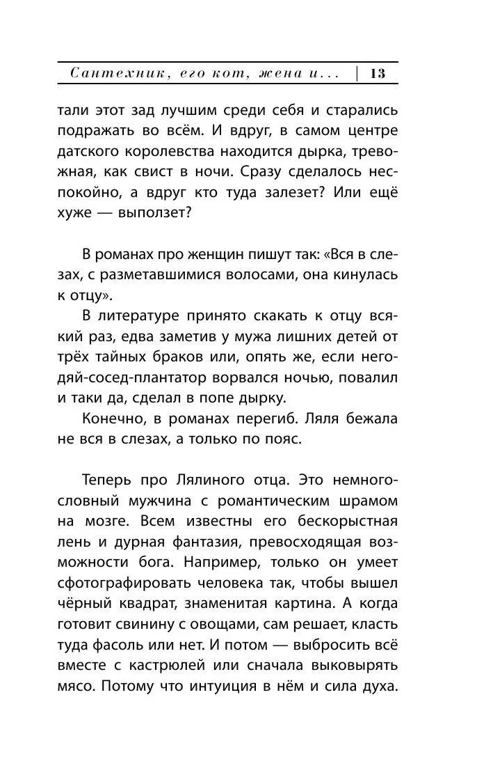 Книга Сантехник, его кот, жена и другие подробности, Эксклюзивная новая  классика купить в Минске, доставка по Беларуси