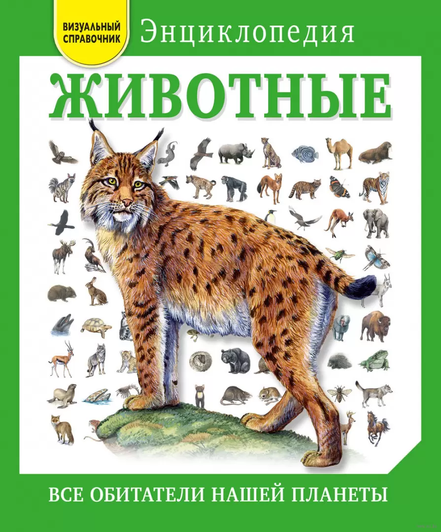 Книга Животные. Все обитатели нашей планеты купить по выгодной цене в  Минске, доставка почтой по Беларуси