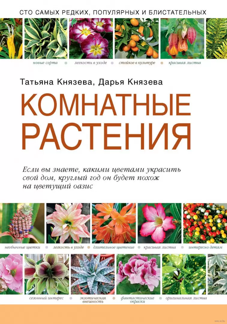 Книга Комнатные растения купить по выгодной цене в Минске, доставка почтой  по Беларуси