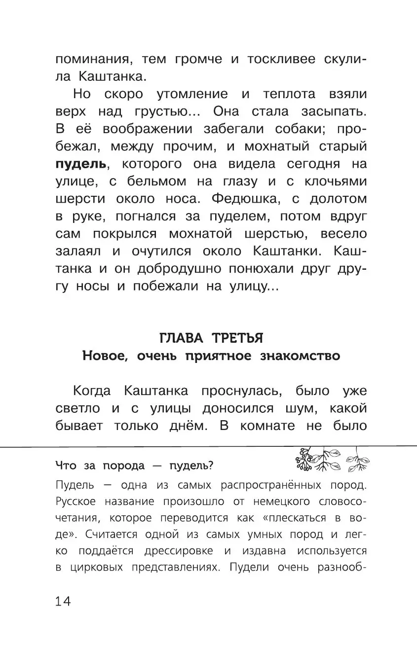 Книга Каштанка купить по выгодной цене в Минске, доставка почтой по Беларуси