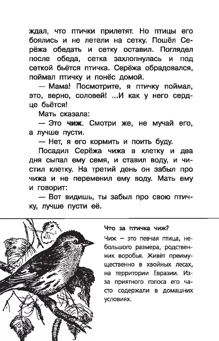 Книга Мильтон и Булька купить по выгодной цене в Минске, доставка почтой по  Беларуси