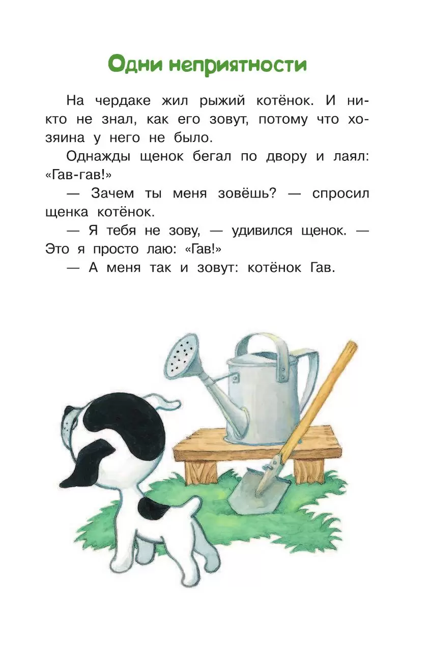 Книга Котенок по имени Гав из серии Библиотека начальной школы купить в  Минске, доставка по Беларуси