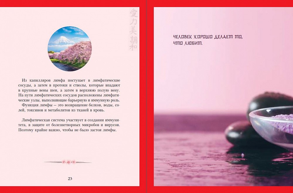 Книга Японский массаж лица. Метод Асахи (Зоган) купить по выгодной цене ...