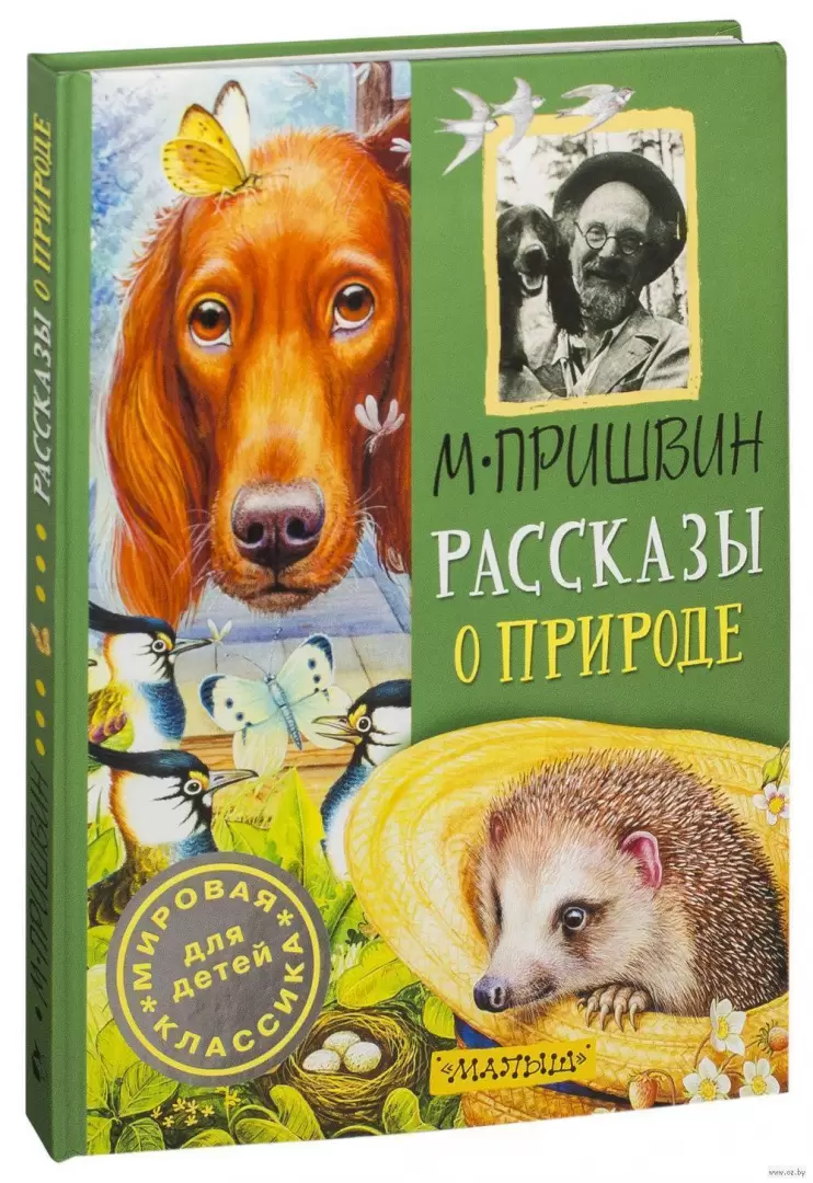 Книга Рассказы о природе, Мировая классика для детей купить в Минске,  доставка по Беларуси