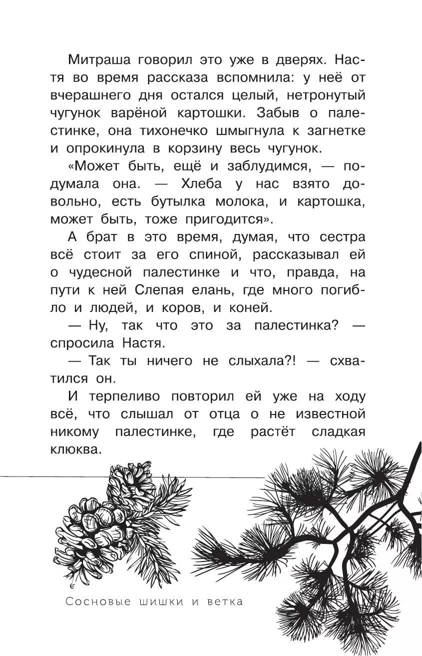 Книга Кладовая солнца купить по выгодной цене в Минске, доставка почтой по  Беларуси