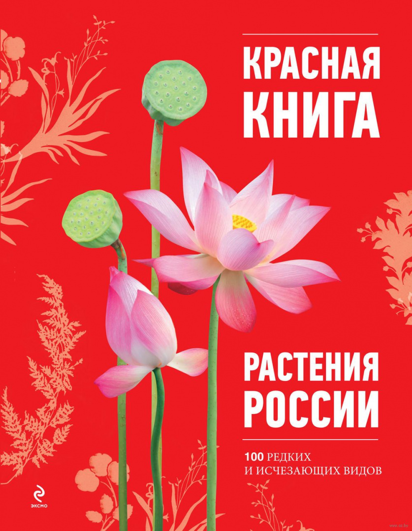 Книга Красная книга. Растения России купить по выгодной цене в Минске,  доставка почтой по Беларуси