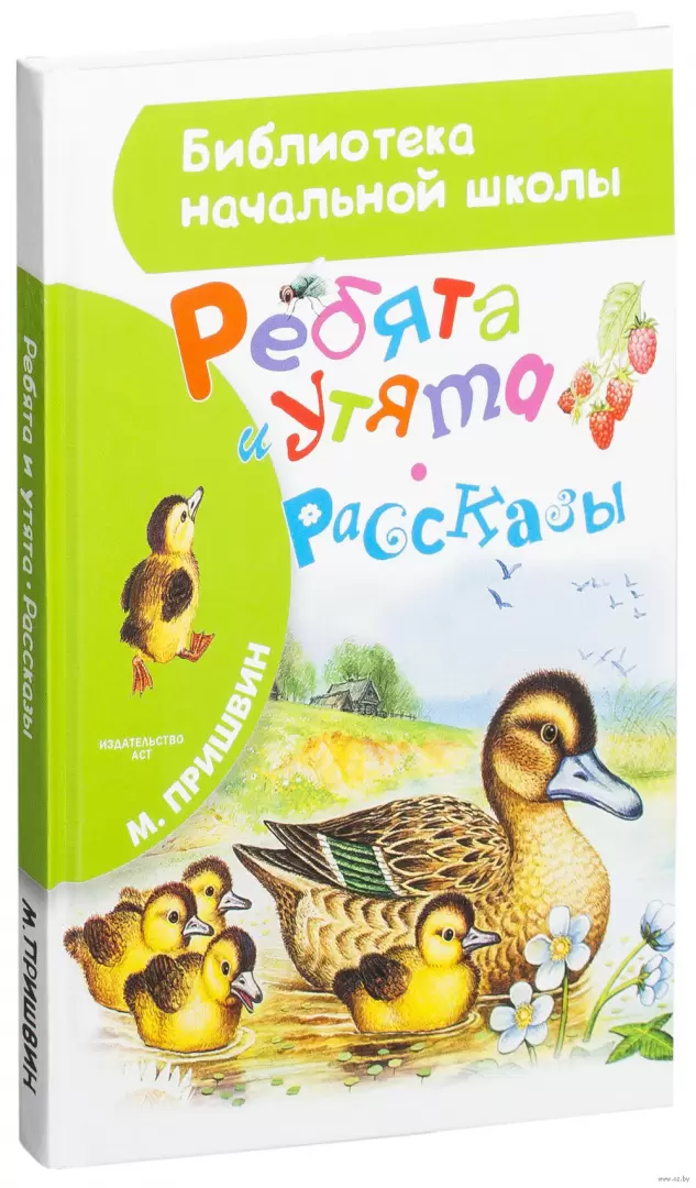 Утка рисунки аниме (36 фото) » рисунки для срисовки на adm-yabl.ru