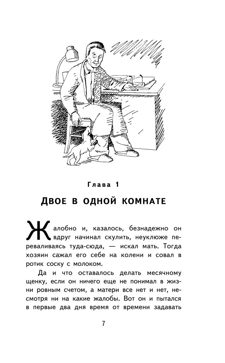 Книга Белый Бим Черное Ухо купить по выгодной цене в Минске, доставка  почтой по Беларуси