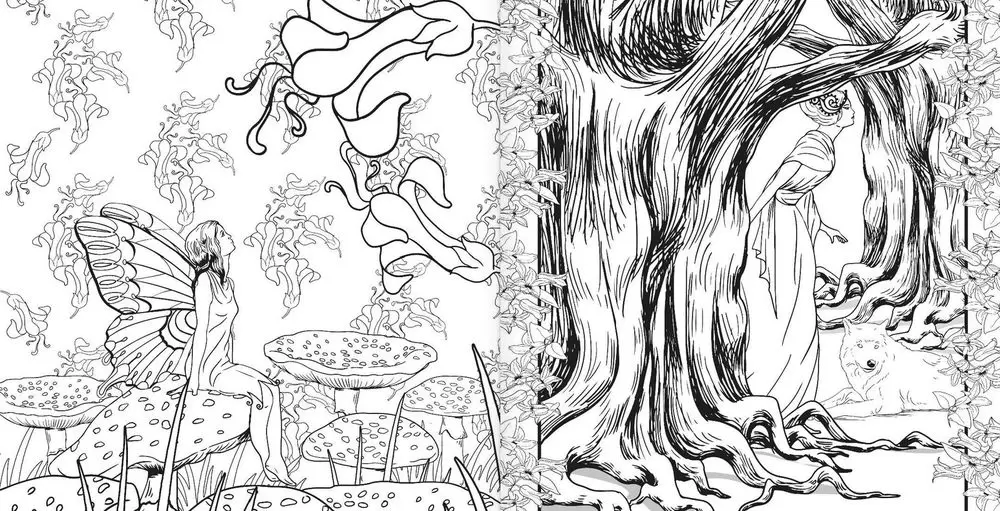 Заколдованный рисунок. Раскраска Волшебный лес. Заколдованный лес раскраска. Раскраска волшебного леса. Раскраска антистресс лес.