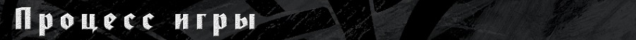 Процесс игры Процесс игры